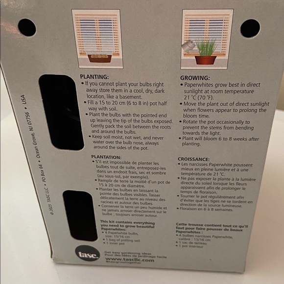 🆕 Ziva Paperwhite Bulb Kit - Picture 3 of 3